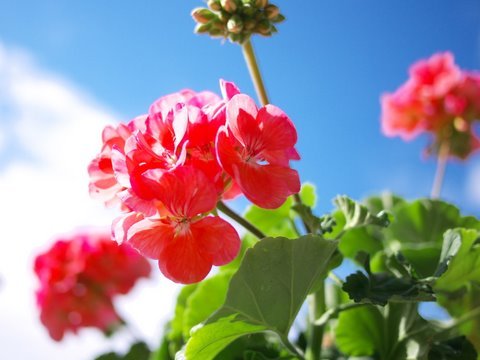 空に向かって