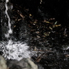 飛沫