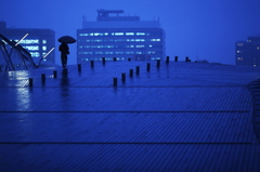 雨路の影