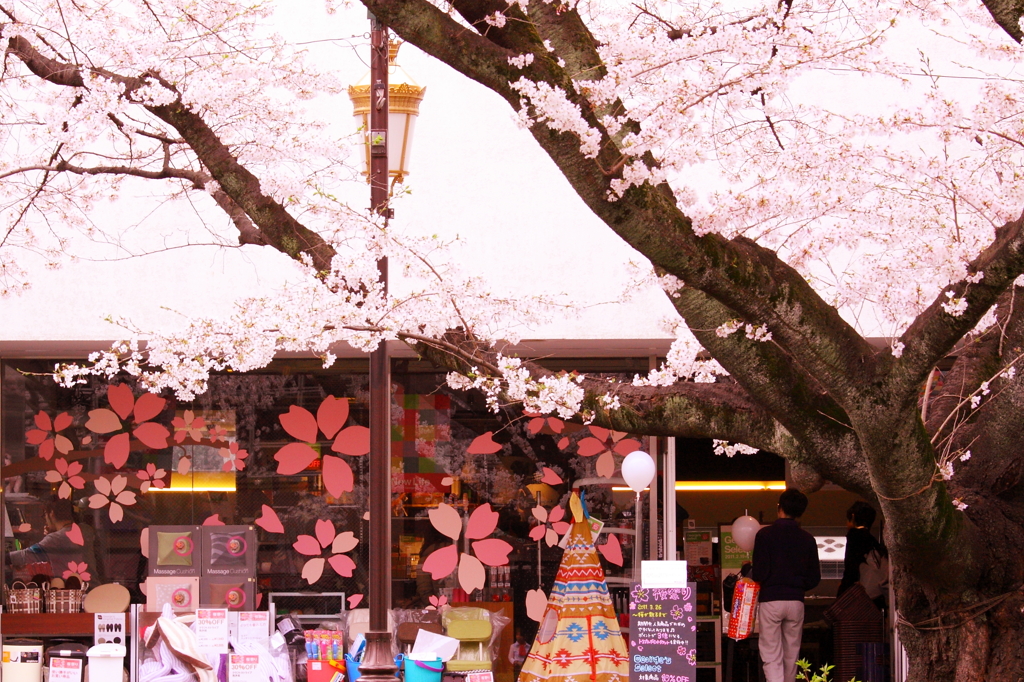桜マーケット