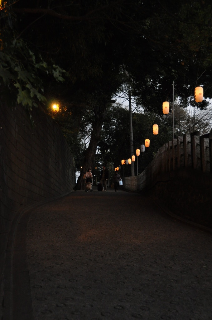 神社の裏道