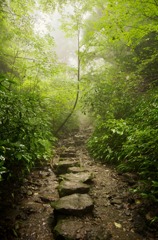 高尾山、沢のぼり。