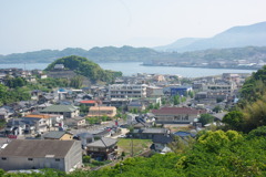 IMGP2459