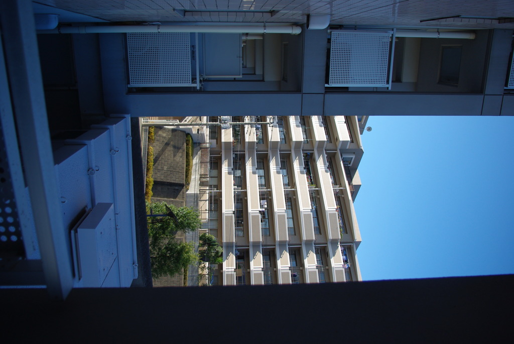 IMGP3159