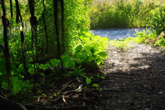 IMGP0482
