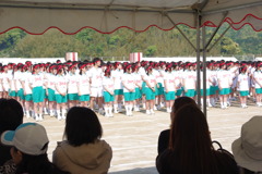 IMGP2434