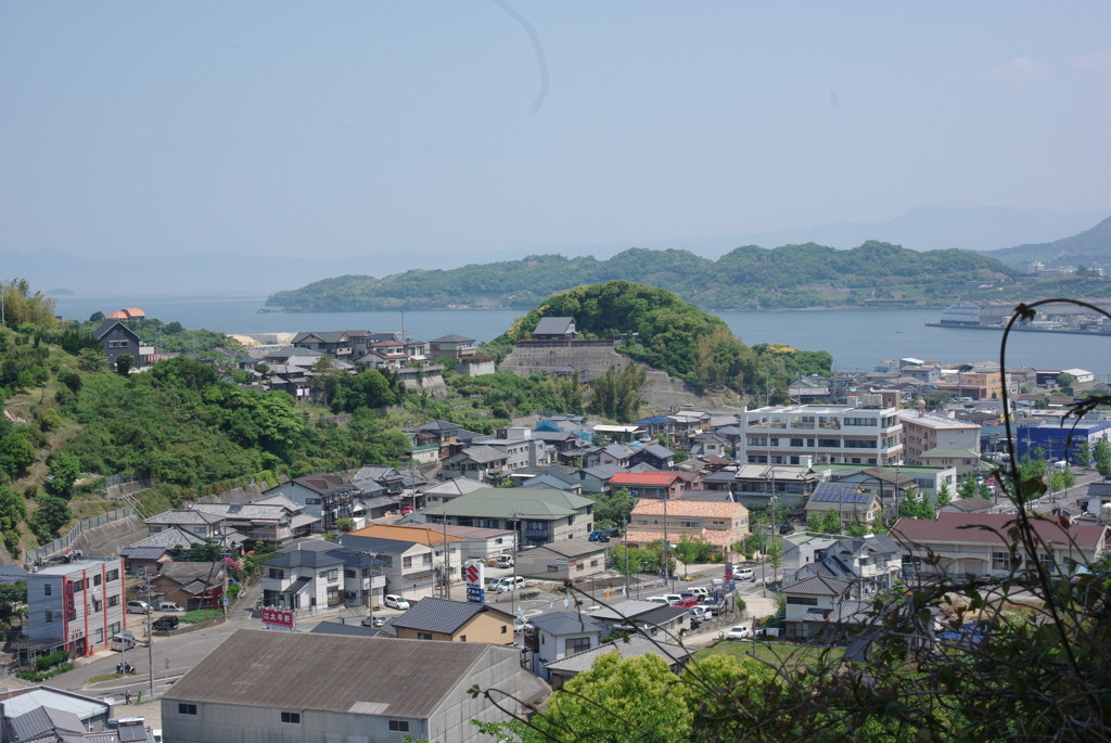 IMGP2486