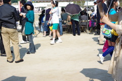IMGP2445