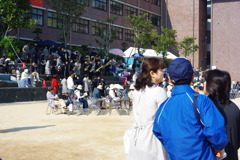 IMGP2423