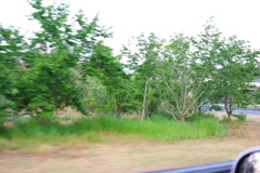 IMGP2412