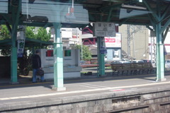 IMGP2591