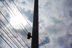 IMGP0932