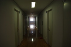 IMGP3156