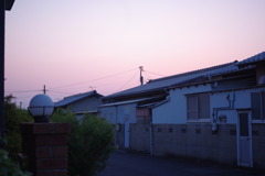 IMGP2408