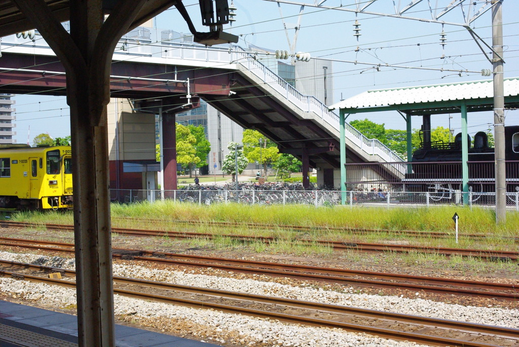 IMGP2599
