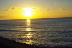 IMGP0705