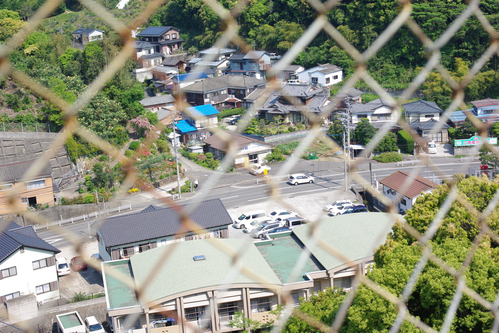 IMGP2455