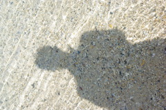 IMGP0401