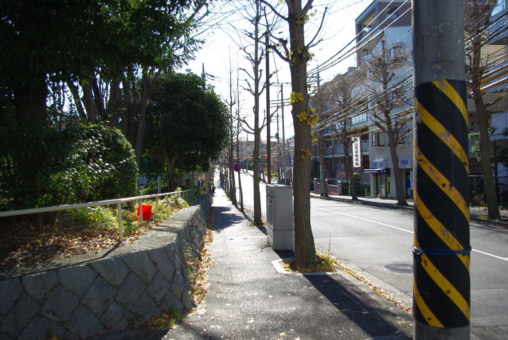 IMGP3171