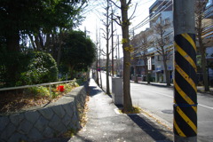 IMGP3171