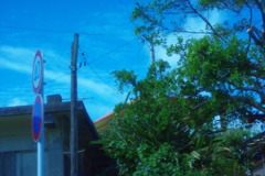 IMGP0964