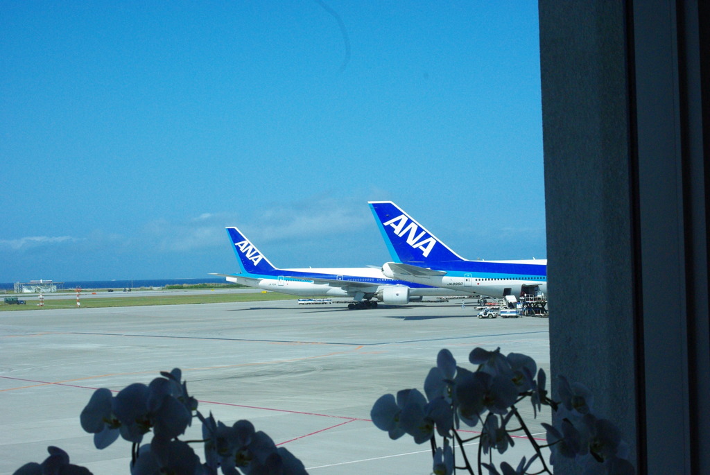 IMGP0273