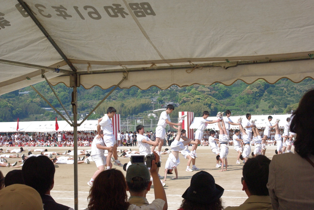 IMGP2465