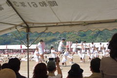 IMGP2465
