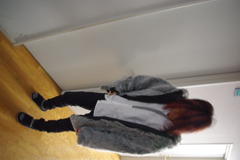 IMGP3164