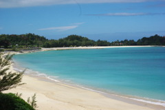 IMGP0906