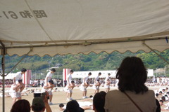IMGP2464