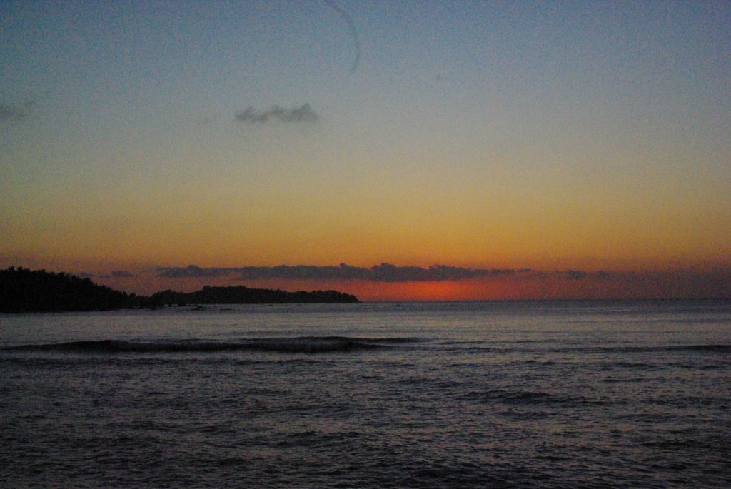 IMGP0729