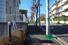 IMGP3167
