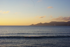 IMGP0703