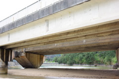 IMGP1175