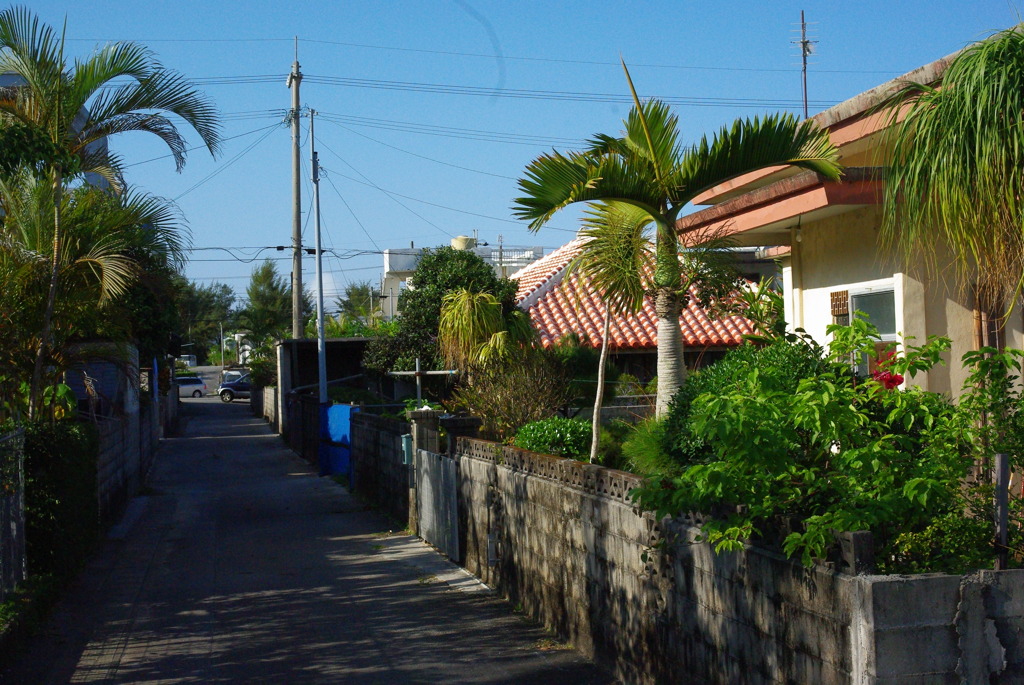 IMGP0447