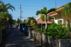 IMGP0447