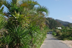 IMGP0469