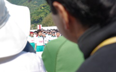 IMGP2436