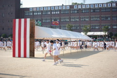 IMGP2426