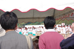IMGP2439