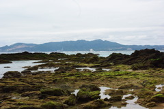 IMGP1214