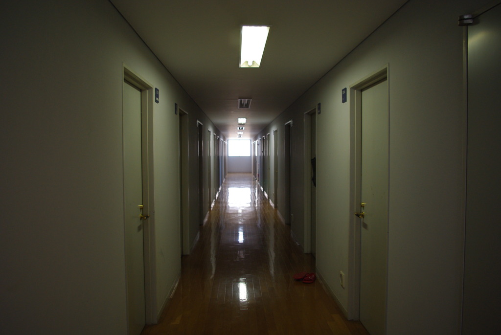 IMGP3157