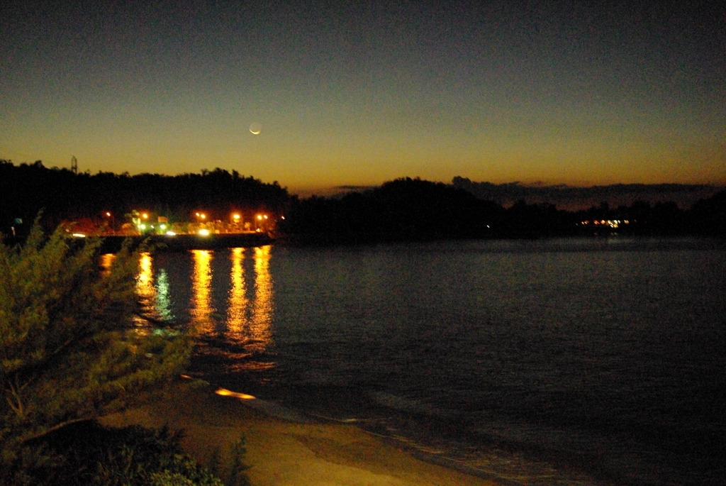 IMGP0786