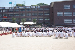 IMGP2544