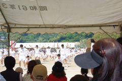 IMGP2460