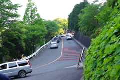 IMGP2417