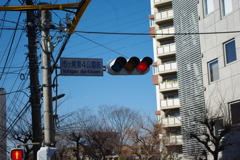 IMGP3172