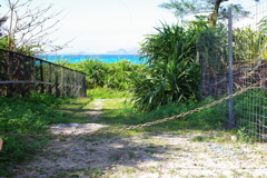 IMGP0368
