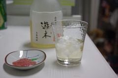 IMGP0240